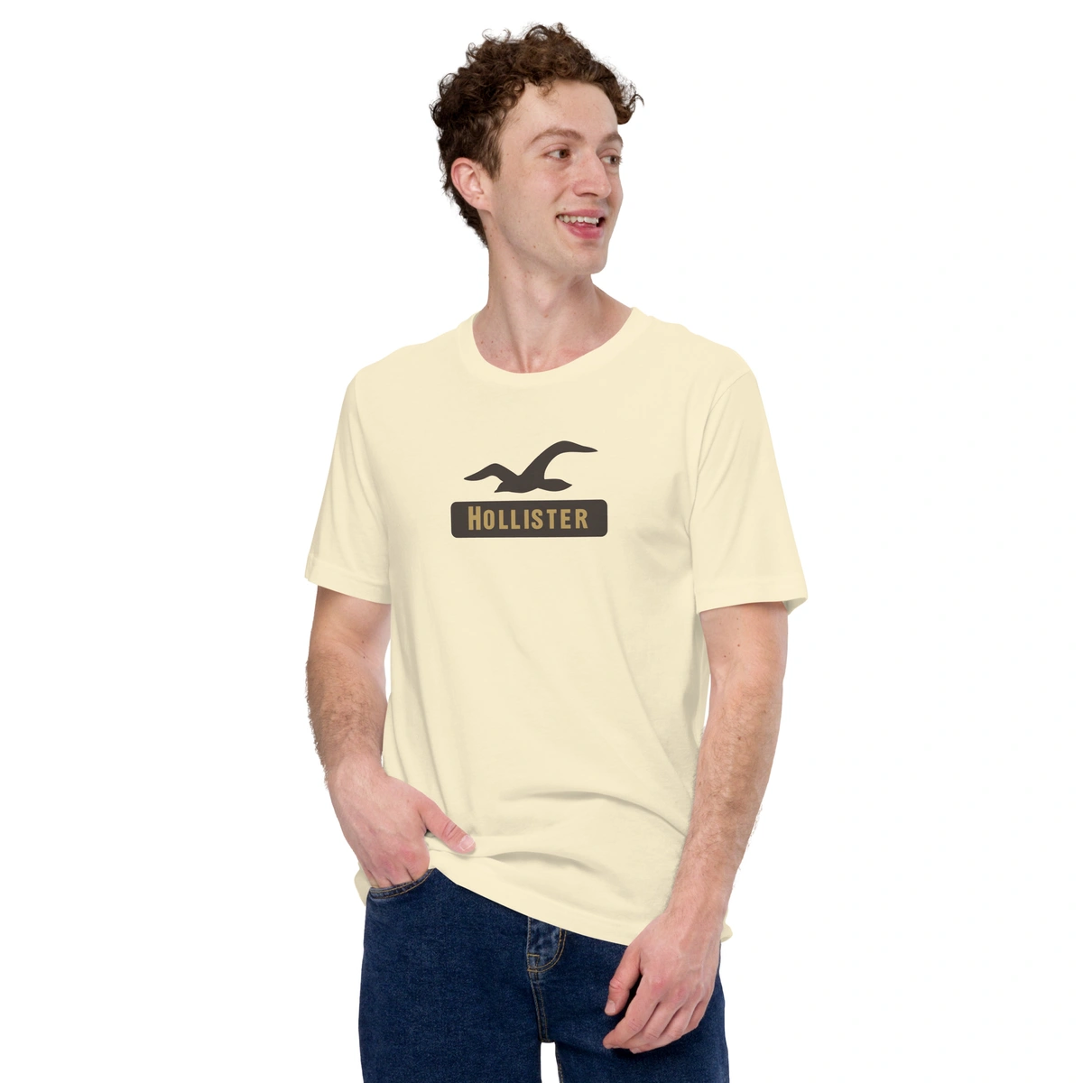 Camiseta Masculina Hollister